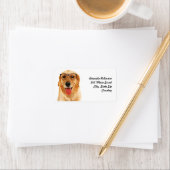 Cute grappige Golden Retriever hond Etiket (Insitu)