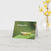 Cute Grasshopper - Carte de voeux vierge (Fleur jaune)