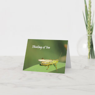 Cute Grasshopper - Carte de voeux vierge