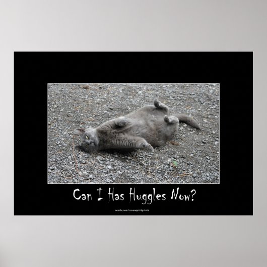 Cute Gray Cat Funny Huggles Poster (Voorkant)