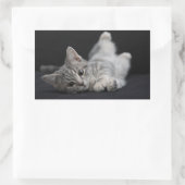 Cute Gray Cat Rechthoekige Sticker (Tas)