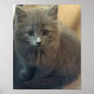Cute Gray Kitten Poster