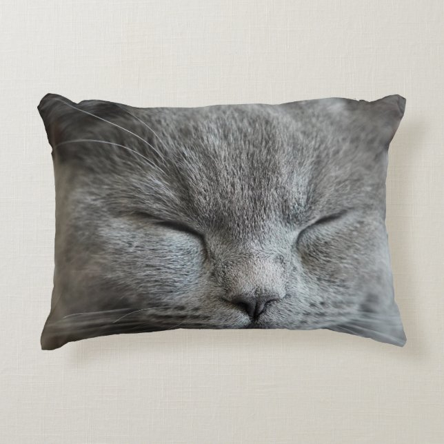 Cute Gray Kitty Cat Photo Accent Pillow Accent Kussen (Voorkant)