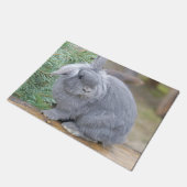 Cute gray konijn deurmat (Schuin)