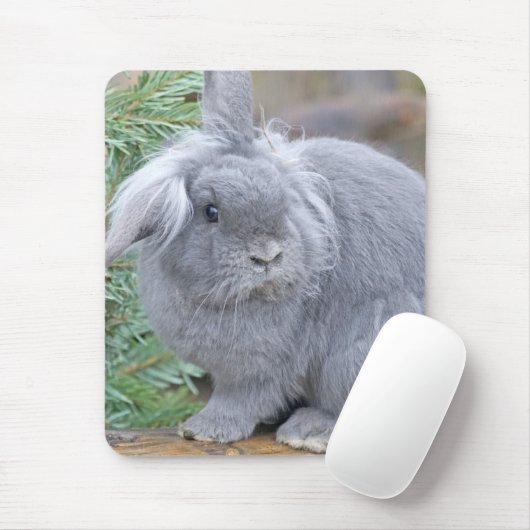 Cute gray konijn muismat (Met muis)
