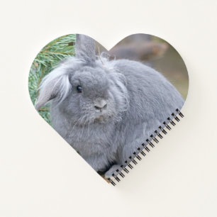 Cute gray konijn notitieboek