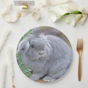 Cute gray konijn papieren bordje