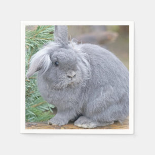 Cute gray konijn servet