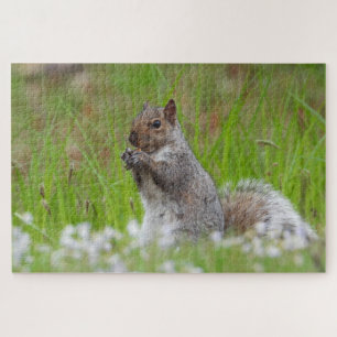 Cute Gray Squirrel Green Grass Bluetts Legpuzzel