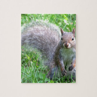 Cute Gray Squirrel Legpuzzel