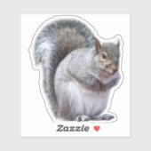 Cute Gray Squirrel Sticker (Vel)