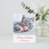 Cute Gray Tabby Cat Kerstmis Pet Xmas Briefkaart (Staand voorkant)