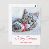 Cute Gray Tabby Cat Kerstmis Pet Xmas Briefkaart (Voorkant / Achterkant)