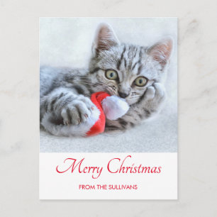Cute Gray Tabby Cat Kerstmis Pet Xmas Briefkaart