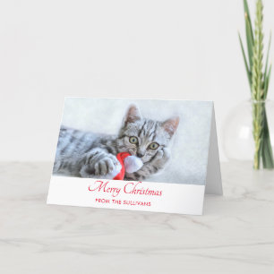 Cute Gray Tabby Cat Kerstmis Pet Xmas Kaart