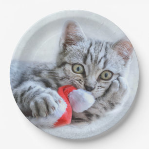 Cute Gray Tabby Cat Kerstmis Pet Xmas Papieren Bordje