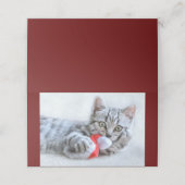 Cute Gray Tabby Cat met kerstPet Xmas (Buitenkant ongevouwen)