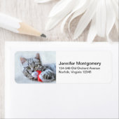 Cute Gray Tabby Cat met kerstPet Xmas Etiket (Insitu)