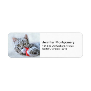 Cute Gray Tabby Cat met kerstPet Xmas Etiket