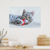 Cute Gray Tabby Cat met kerstPet Xmas Poster (Keuken)