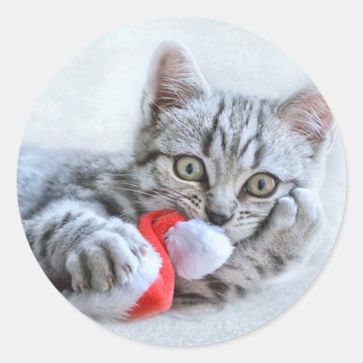 Cute Gray Tabby Cat met kerstPet Xmas Ronde Sticker (Voorkant)