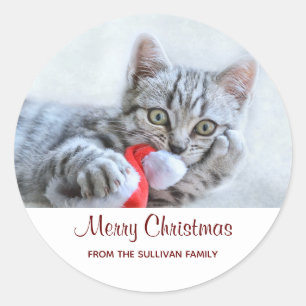 Cute Gray Tabby Cat met kerstPet Xmas Ronde Sticker