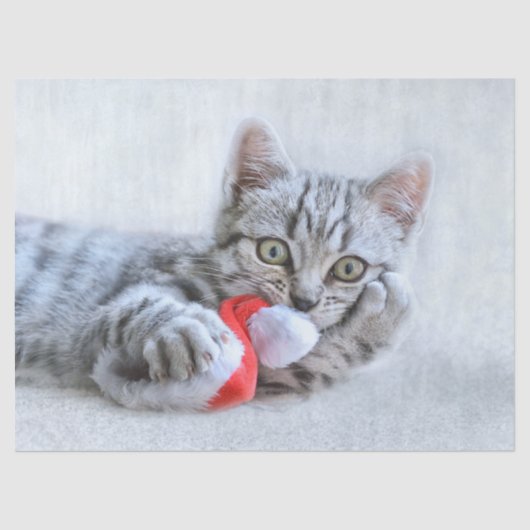 Cute Gray Tabby Cat met kerstPet Xmas Tissuepapier (Voorkant)