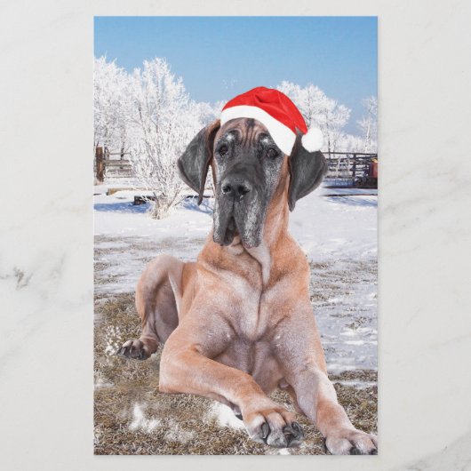 Cute Great Dane Dog Sitting in Snow-Kerstmis-Pet Briefpapier (Voorkant)