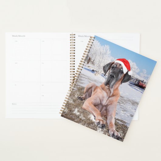 Cute Great Dane Dog Sitting in Snow-Kerstmis-Pet Planner (Display)