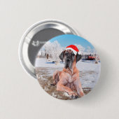 Cute Great Dane Dog Sitting in Snow-Kerstmis-Pet Ronde Button 5,7 Cm (Voorkant /achterkant)
