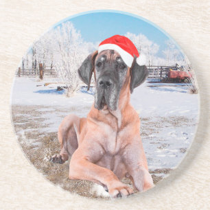 Cute Great Dane Dog Sitting in Snow-Kerstmis-Pet Zandsteen Onderzetter