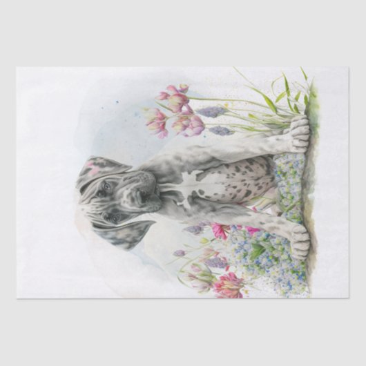 Cute Great Dane Puppy Dog Tissuepapier (Voorkant)