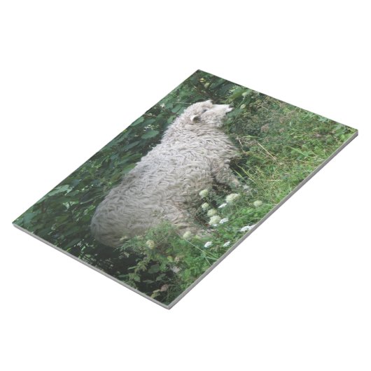 Cute Greedy Sheep Eating Notepad Notitieblok (Schuin)