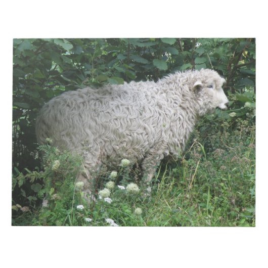 Cute Greedy Sheep Eating Notepad Notitieblok (Voorkant)