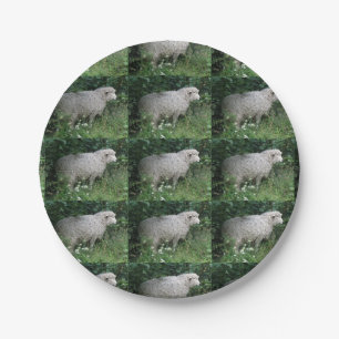 Cute Greedy Sheep Eating Paper Bord