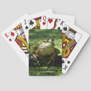 Cute Green Frog slaat een paal op de slang Pokerkaarten