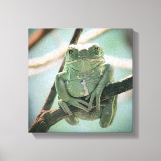 Cute Green Frog Zitting on a Branch Canvas Afdruk (Voorkant)