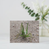 Cute Green Grasshopper DIY Briefkaart (Staand voorkant)