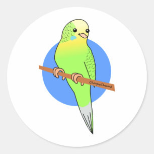 Cute Green Parakeet Ronde Sticker