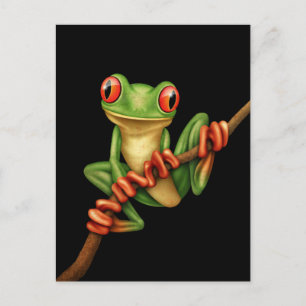 Cute Green Tree Frog on a Branch on Black Briefkaart