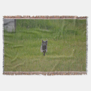 Cute Grey Boerderij Cat Racing Over Green Grass Fo Deken