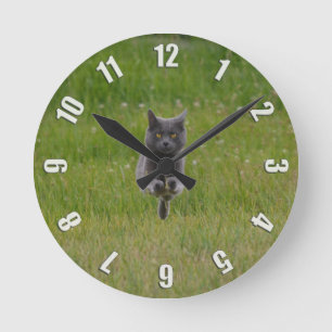 Cute Grey Boerderij Cat Racing Over Green Grass Fo Ronde Klok