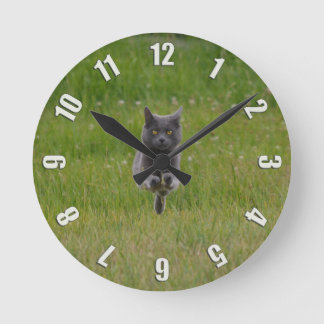 Cute Grey Boerderij Cat Racing Over Green Grass Fo Ronde Klok