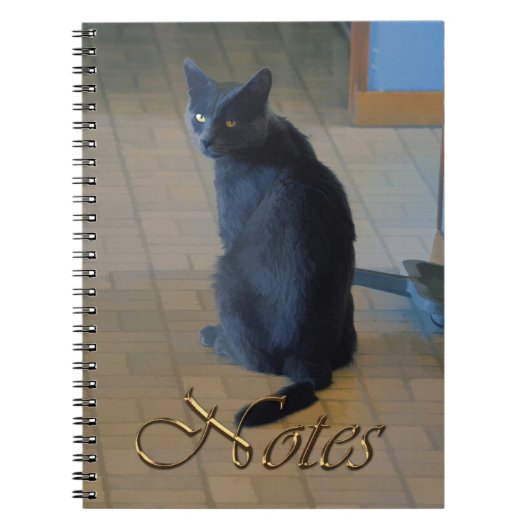 Cute Grey Boerderij Sitting in Ranch Kitchen Notitieboek (Voorkant)