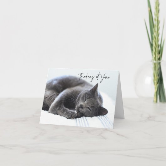 Cute Grey Cat Thinking of You Card Bedankkaart (Voorkant)