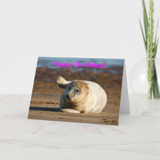 Cute Grey Seal Pup - Bonne carte de voeux d'annive