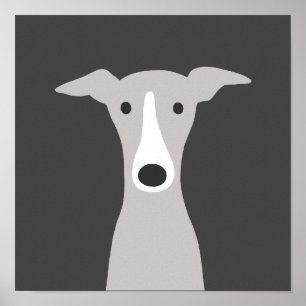 Cute Greyhound (Italiaanse Greyhound) of Whippet D Poster
