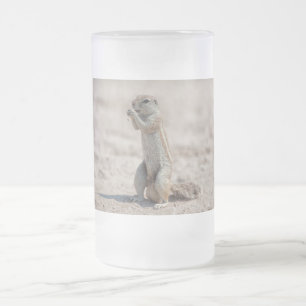 Cute ground sqirrel matglas bierpul