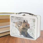 Cute Ground Squirrel Natuur Foto