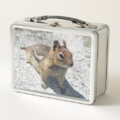 Cute Ground Squirrel Natuur Foto (Voorkant)